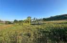 Teren Magura str. Intre Vii Islazului 550 mp - 10