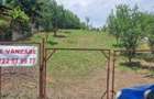 Teren intravilan de vanzare 3400 mp, la 2 km de Valenii de Munte, comuna Drajna de Jos - 5