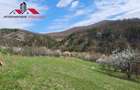 Teren intravilan 1500 mp de vanzare in Inuri Jud Alba