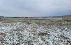 Reco, Teren intravilan, Cihei - 5
