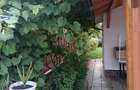 Casa 4 camere Labu?e?ti 160 mp utili , 600 mp teren - 8