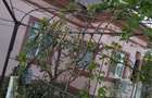 Casa vanzare Islaz Teleorman - 2