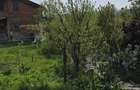 Vinzare teren intravilan - 5