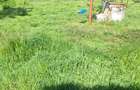 Casă cu Teren 1700 Mp în Plopu - 2