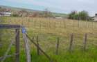 Teren Intravilan 2.000 m2 - 2