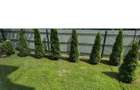 Apartament 2 Camere Precista MALL Shopping City Biserica noua - 1