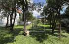 Casa tip duplex pe Calea Dumbravii, teren de 425 mp, 120 mp utili - 3