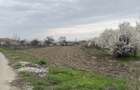 Teren intravilan Ionesti, Valcea - 3