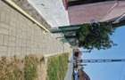 Casa de vanzare aproape de strand termal ?i centru Deta la 45 km de Timisoara - 8