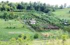 Vand teren intravilan - 2
