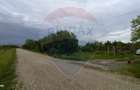 Teren 3,700mp Gulia/DN7 -20 km fata de Pta Victoriei -ideal investitie