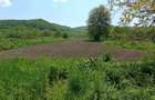 Casa de vanzare Sinpetru Alma?ului, Hida cu teren 6000 mp - 6
