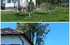 Casa tradi?ionala renovata