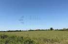 Teren intravilan 2.6 hectare la E671 / DN79 | Front 484 ml - 2