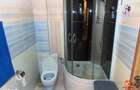 Apartament cu 2 camere de inchiriat in zona Doamna Stanca - 7