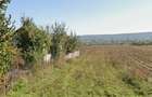 Teren de 2248 mp, în Mărăcineni - 2