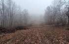 Teren intravilan 3.186 mp Sat Varmaga, Certeju de Sus, Hunedoara lumini? la poalele muntelui - 4