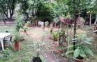 inchiriez garsoniera in Timisoara, zona Plopi, linia E8 - 7