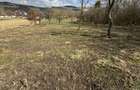 Teren de vanzare Sat Corusu, comuna Baciu 3484mp - 11