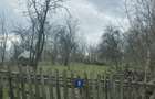 Teren intravilan de vanzare Stefesti, Prahova 3.198 mp - 5