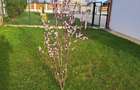 Casa moderna intr-un peisaj de vis, situata intre Pitesti si Valcea - 2