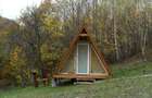 Poiană privată, pădure și cabană | Proprietate cu potențial turistic - 4
