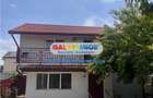 VILA DE VANZARE CHITILA | CURTE PROPRIE 236MP - 20