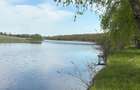 Oportunitate ideala pentru casa langa lac si padure de salcami - 5