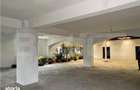 Spatiu comercial, 270 mp, zona Dambovita - 2