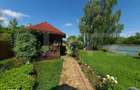 Vila cu 5 camere, 280 mp, livada pe rod, zona Valea Voievozilor - 5