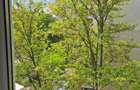 Proprietar Apartament 2 camere decom I.C. Frimu Etaj 3 Accept credit - 12