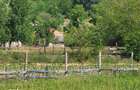 Teren extravilan arabil Tisau, ID: R2590475 - 10