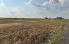 Parcele teren de vanzare in Sanandrei - ID V5451 - 1
