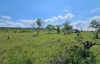 Teren EXCEPTIONAL Colibasi | Priveliste panoramica spre Pitesti | Ideal casa sau investitie - 6
