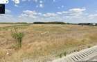 Teren intravilan 10.000 mp, acces asfaltat