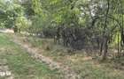 TEREN IN VLADESTI - NATURA SI DOAR 7 KM PANA IN CENTRUL RAMNICULUI - 6