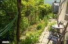 Apartament cu gradina proprie | Business la cheie | Centrul Istoric B