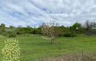 Teren 5000 mp-ideal investitie-Ghinda - 2