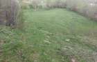 Teren intravilan agricol