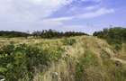 Parcele Teren extravilan Livada si Pasune Lunca Corbului Arges - 1