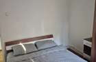 Apartament ultracentral - 5