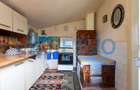 Casa si teren 3365mp Sascut - 19
