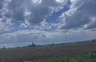 Teren extravilan, 7800mp, Burla