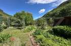 Casa cu potential, 3 camere, anexa, gradina, zona Cugir - 8