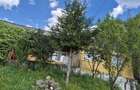 De vanzare casa cu teren intravilan livada 5700m2 - 14