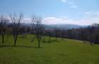 teren in Timi? zona de munte Valea lui Liman - 1