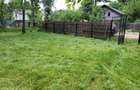 Teren intravilan 3.000 mp cu casă bătrânească – Cătunu, Teleorman (Utilități inc - 3