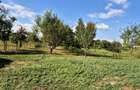 Teren intravilan 1.200+ mp | Livada & Acces privat 7m | Salcioara - Jurilovca - 4