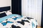 ap. 2 camere/ zona Iancului/ parter/renovat/ zona linistita