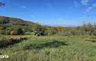 Teren de vanzare langa Saliste zona Bercu sat Gales - Tilisca